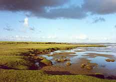 Vorland auf F&ouml;hr