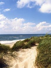 Sylt: D�nen und Strand
